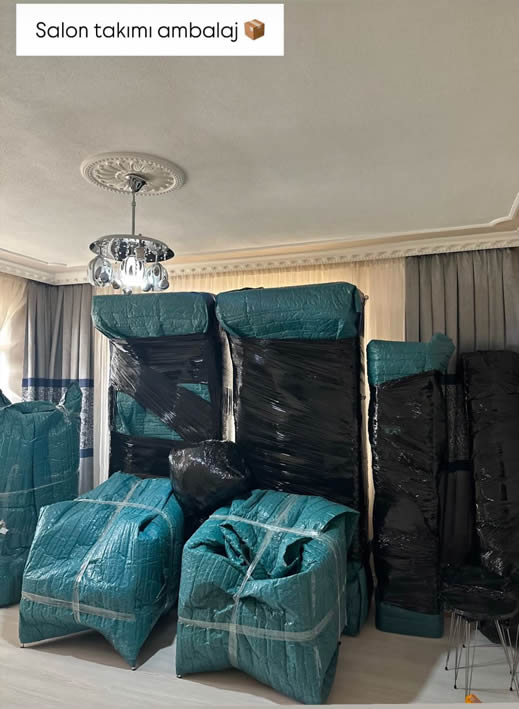 ege evden eve nakliyat